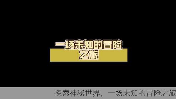 探索神秘世界，一场未知的冒险之旅