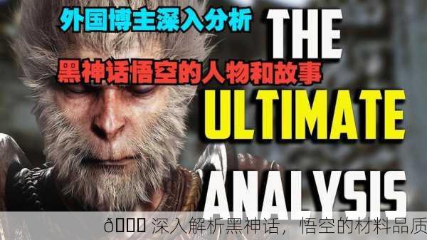 📚 深入解析黑神话，悟空的材料品质