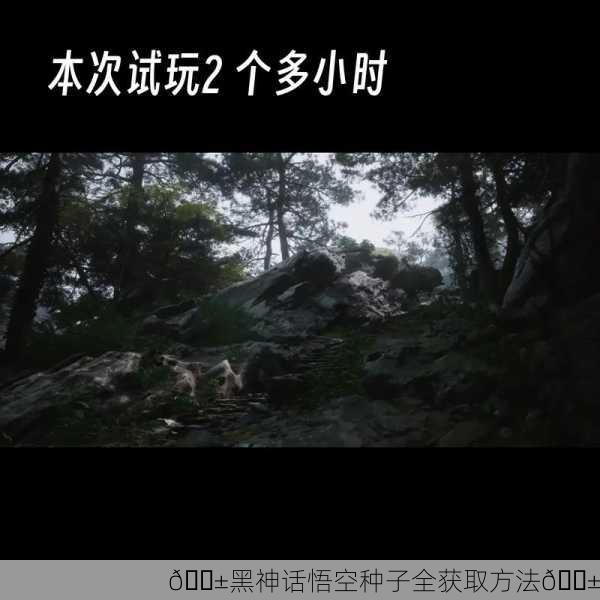 🌱黑神话悟空种子全获取方法🌱