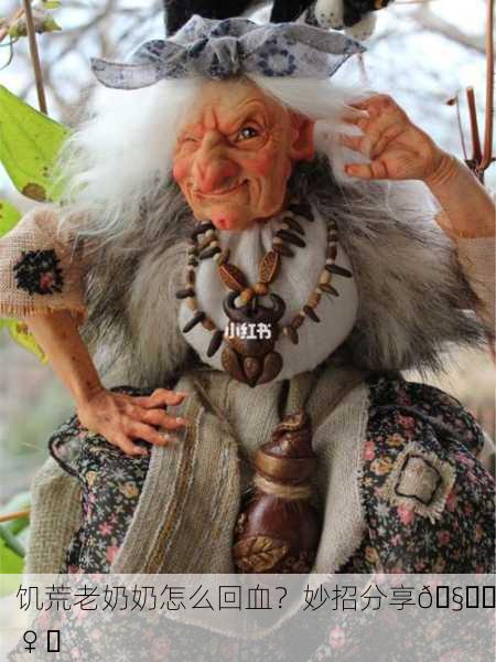 饥荒老奶奶怎么回血？妙招分享🧙‍♀️