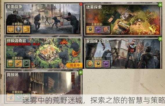 迷雾中的荒野迷城，探索之旅的智慧与策略