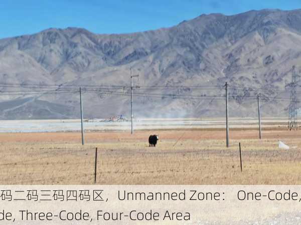 无人区一码二码三码四码区，Unmanned Zone： One-Code, Two-Code, Three-Code, Four-Code Area