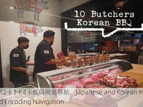 日韩一卡2卡3卡4卡乱码网站导航，Japanese and Korean Multi-Card Encoding Navigation