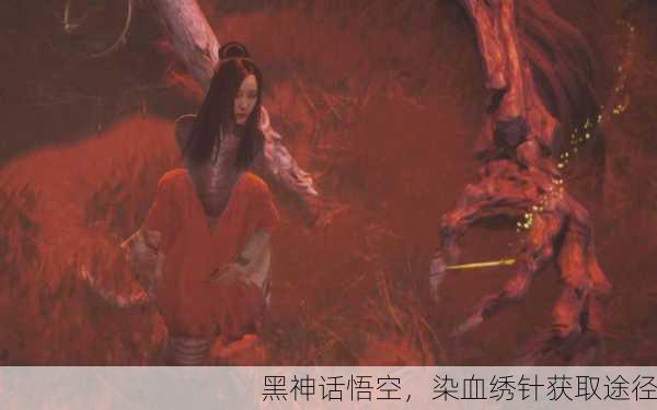 黑神话悟空，染血绣针获取途径