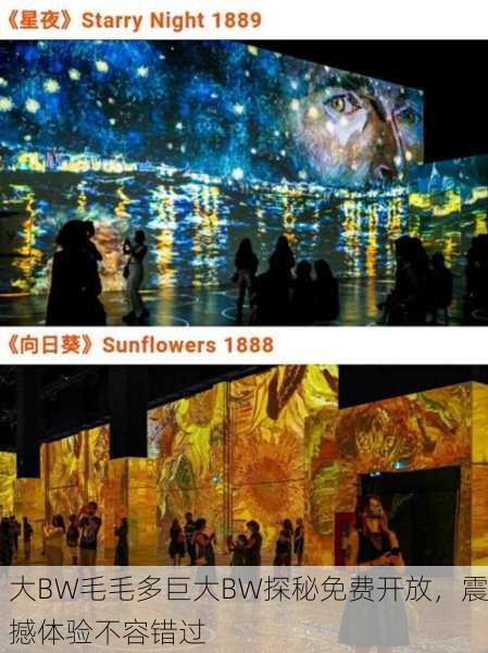 大BW毛毛多巨大BW探秘免费开放，震撼体验不容错过