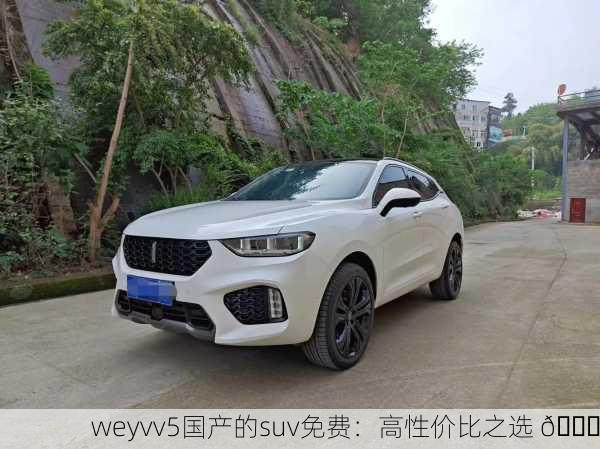 weyvv5国产的suv免费：高性价比之选 🚗