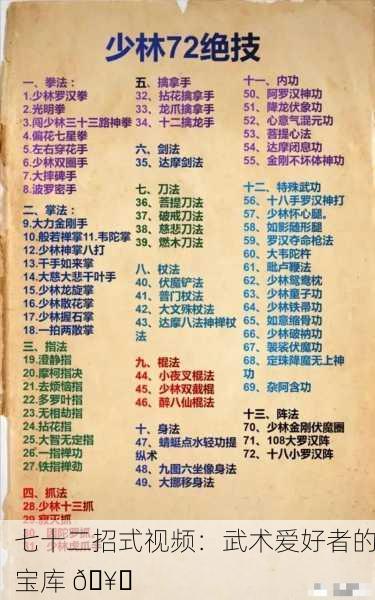 七十二招式视频：武术爱好者的宝库 🥋