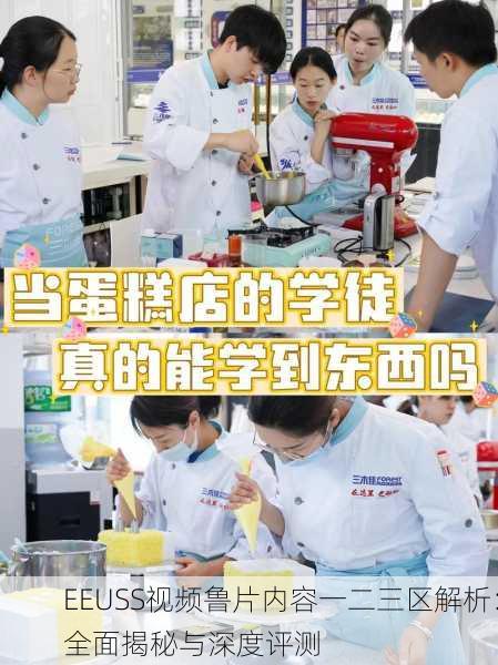 EEUSS视频鲁片内容一二三区解析：全面揭秘与深度评测