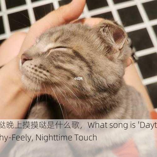 白天摸摸哒晚上摸摸哒是什么歌，What song is 'Daytime Touchy-Feely, Nighttime Touchy-Feely'？