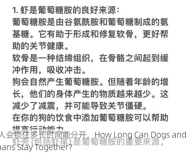 狗配人会锁住多长时间能分开，How Long Can Dogs and Humans Stay Together？