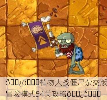 🌿💀植物大战僵尸杂交版冒险模式54关攻略🌿💀