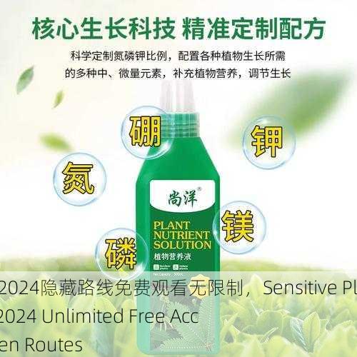 含羞草传媒2024隐藏路线免费观看无限制，Sensitive Plant Media 2024 Unlimited Free Access to Hidden Routes