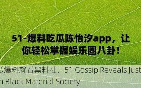 51吃瓜爆料就看黑料社，51 Gossip Reveals Just Watch Black Material Society