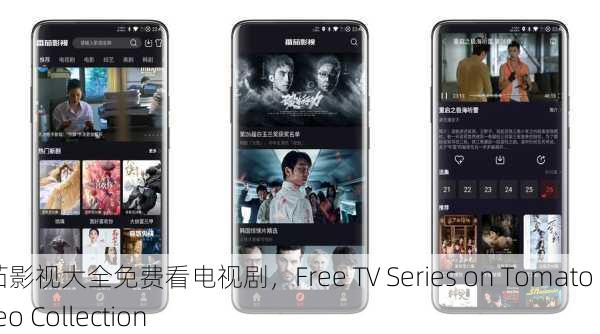 番茄影视大全免费看电视剧，Free TV Series on Tomato Video Collection