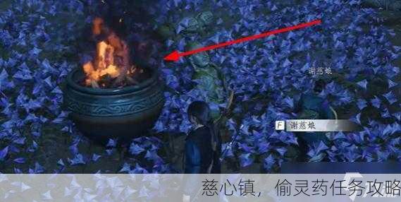 慈心镇，偷灵药任务攻略