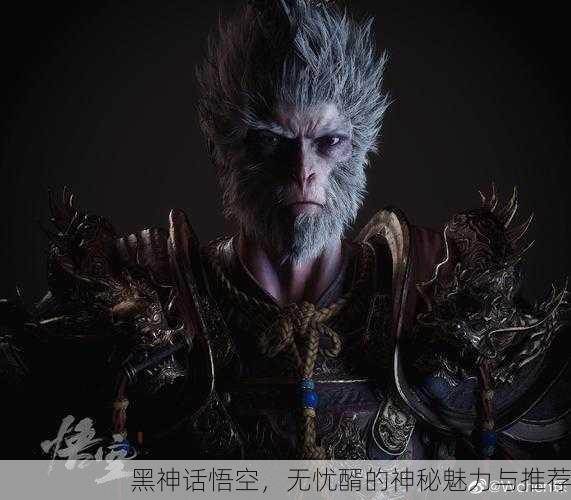 黑神话悟空，无忧醑的神秘魅力与推荐