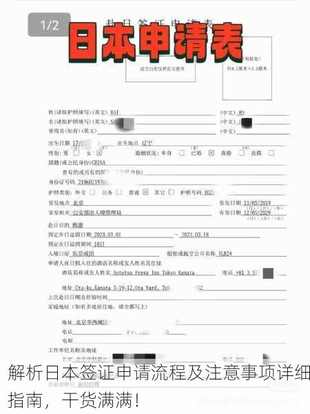 解析日本签证申请流程及注意事项详细指南，干货满满！