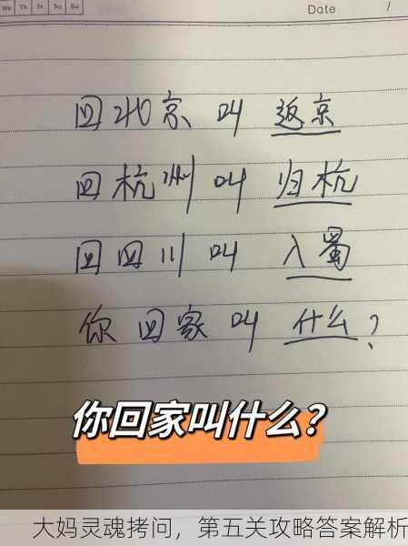 大妈灵魂拷问，第五关攻略答案解析