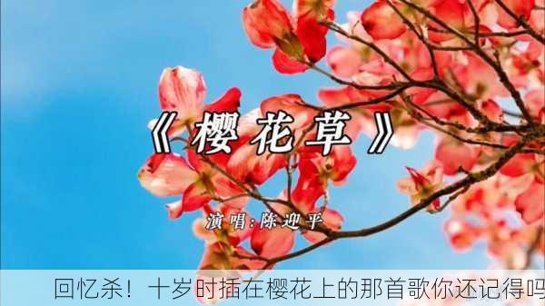 回忆杀！十岁时插在樱花上的那首歌你还记得吗