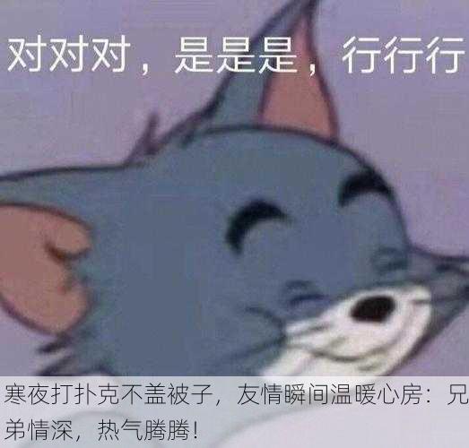 寒夜打扑克不盖被子，友情瞬间温暖心房：兄弟情深，热气腾腾！