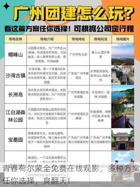 青春荷尔蒙全免费在线观影，多种方案任你选择，爽翻天！