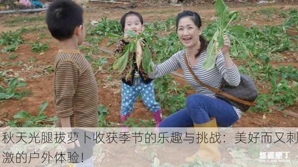 秋天光腿拔萝卜收获季节的乐趣与挑战：美好而又刺激的户外体验！
