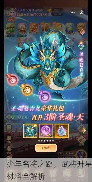 少年名将之路，武将升星材料全解析