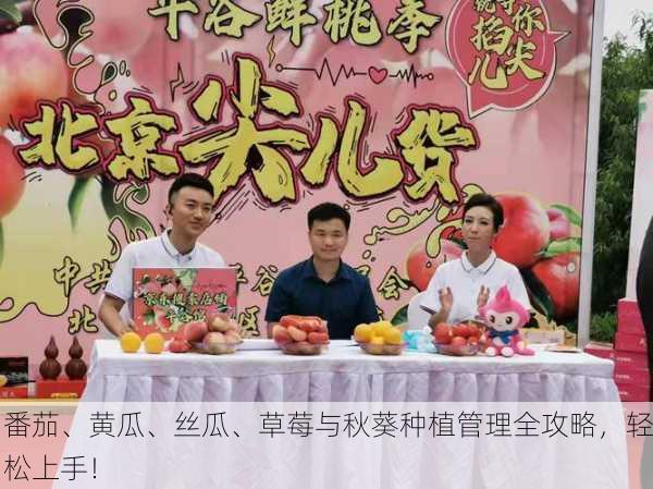 番茄、黄瓜、丝瓜、草莓与秋葵种植管理全攻略，轻松上手！