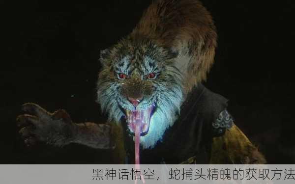 黑神话悟空，蛇捕头精魄的获取方法