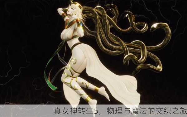 真女神转生5，物理与魔法的交织之旅