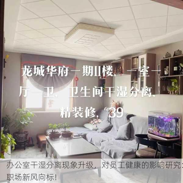 办公室干湿分离现象升级，对员工健康的影响研究：职场新风向标！
