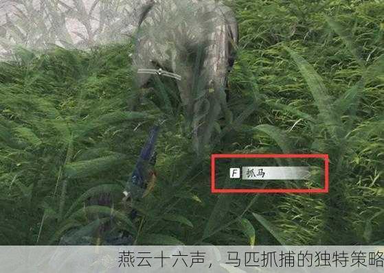 燕云十六声，马匹抓捕的独特策略