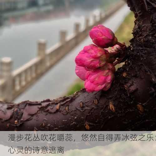 漫步花丛吹花嚼蕊，悠然自得弄冰弦之乐：心灵的诗意逃离
