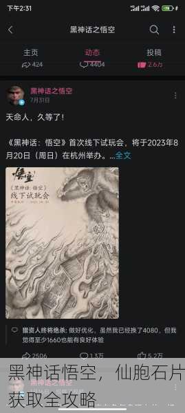 黑神话悟空，仙胞石片获取全攻略