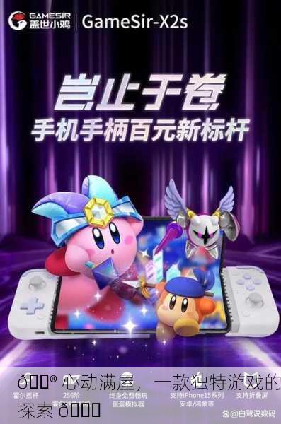 🎮 心动满屋，一款独特游戏的探索 🎉