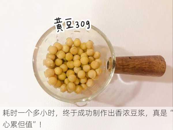 耗时一个多小时，终于成功制作出香浓豆浆，真是“心累但值”！