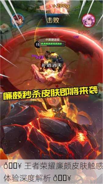 🔥 王者荣耀廉颇皮肤触感体验深度解析 🔥
