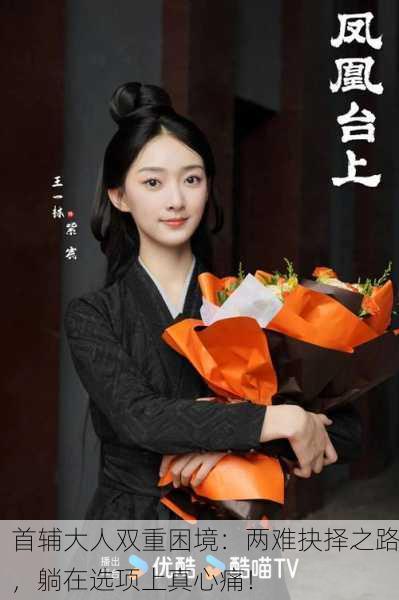 首辅大人双重困境：两难抉择之路，躺在选项上真心痛！
