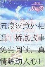 流浪汉意外相遇：桥底故事免费阅读，真情触动人心！