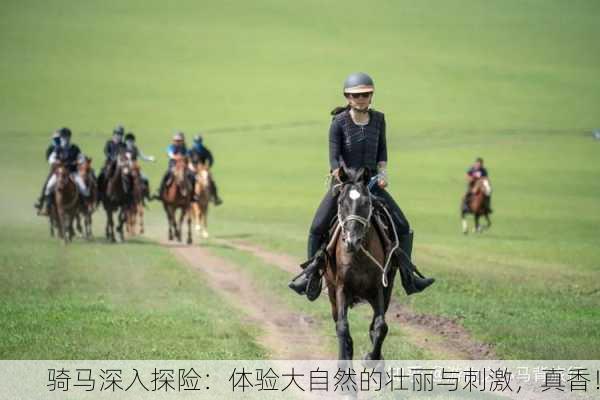 骑马深入探险：体验大自然的壮丽与刺激，真香！