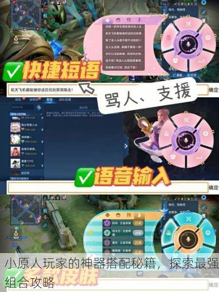 小原人玩家的神器搭配秘籍，探索最强组合攻略