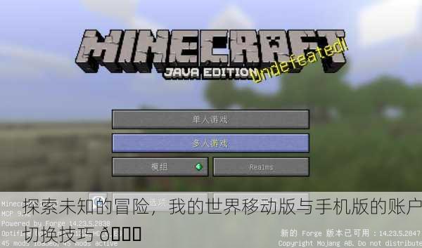 探索未知的冒险，我的世界移动版与手机版的账户切换技巧 🌍
