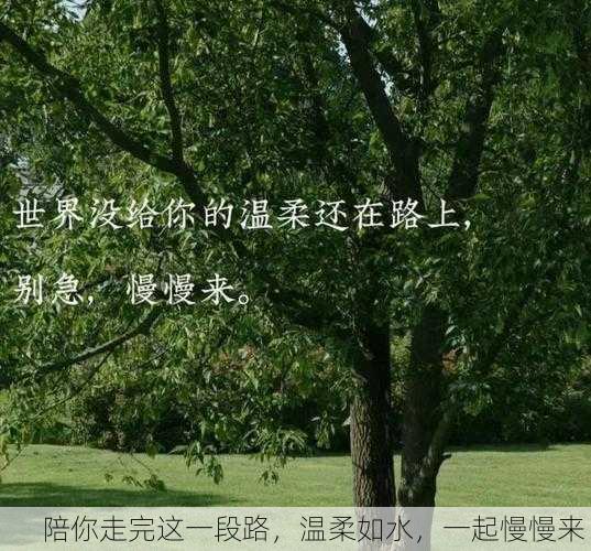 陪你走完这一段路，温柔如水，一起慢慢来！