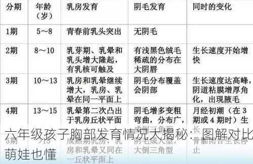 六年级孩子胸部发育情况大揭秘：图解对比萌娃也懂