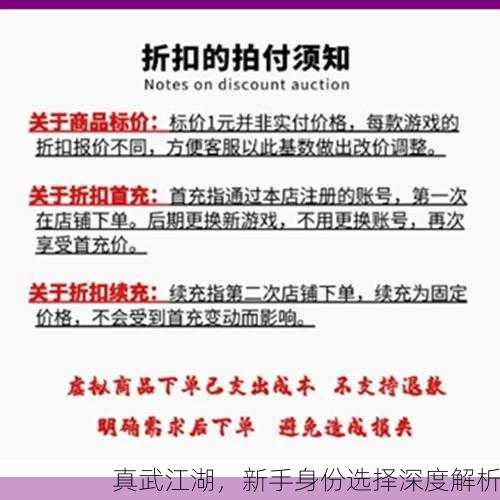 真武江湖，新手身份选择深度解析