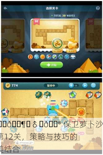 🌅🚶‍♂️🎮 保卫萝卜沙漠第12关，策略与技巧的完美结合