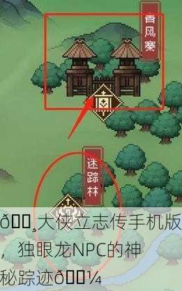 🌸大侠立志传手机版，独眼龙NPC的神秘踪迹🌼