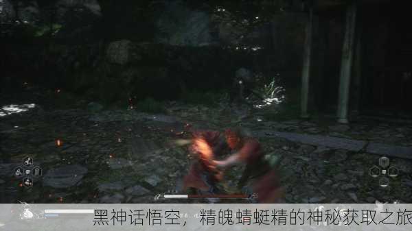 黑神话悟空，精魄蜻蜓精的神秘获取之旅