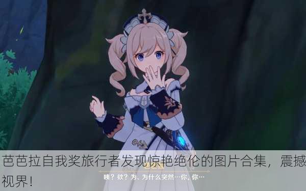 芭芭拉自我奖旅行者发现惊艳绝伦的图片合集，震撼视界！