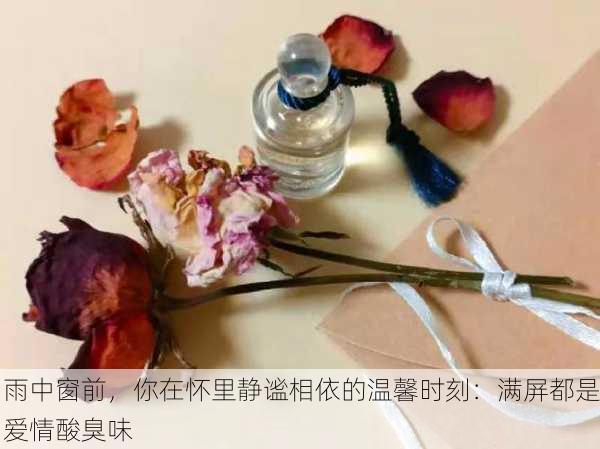 雨中窗前，你在怀里静谧相依的温馨时刻：满屏都是爱情酸臭味